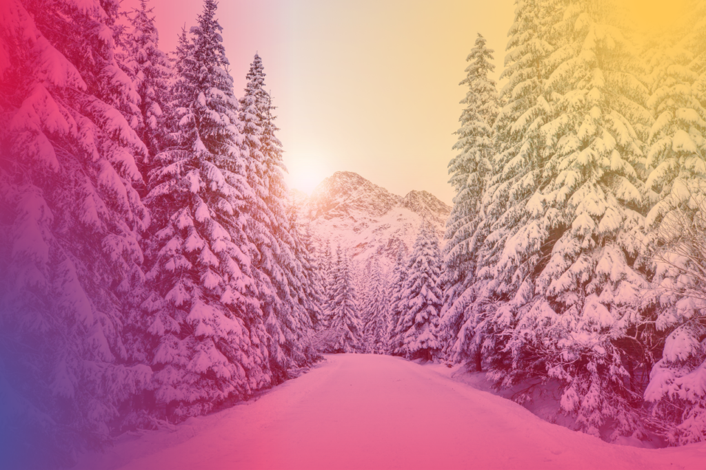 Best Travel Nurse Destinations for Winter Nurse First Travel